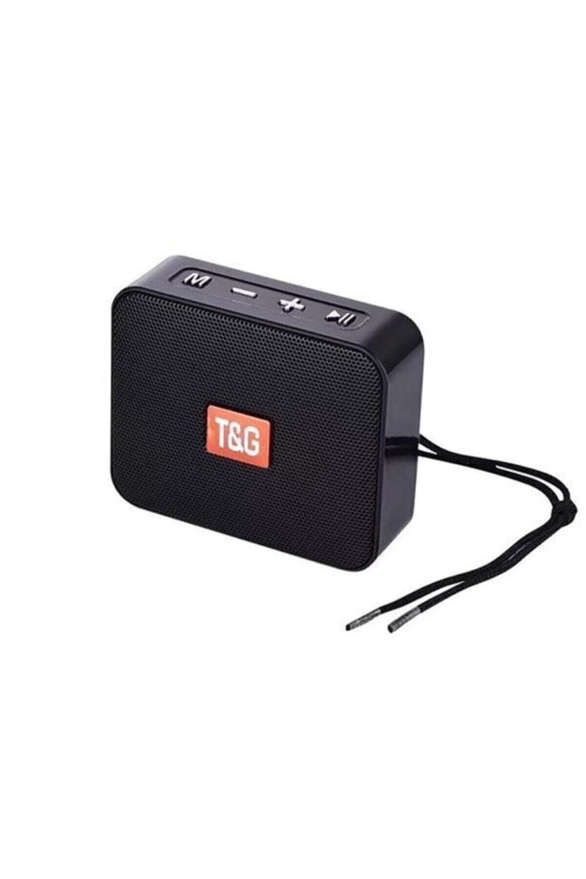 🔊 T&G TG-166 – Mini Bluetooth Speaker