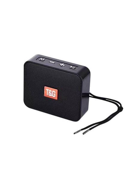 🔊 T&G TG-166 – Mini Bluetooth Speaker